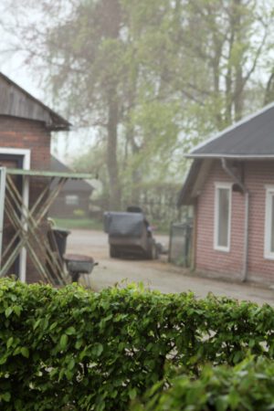IMG 7008