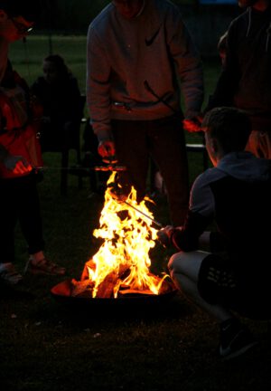 IMG 7098
